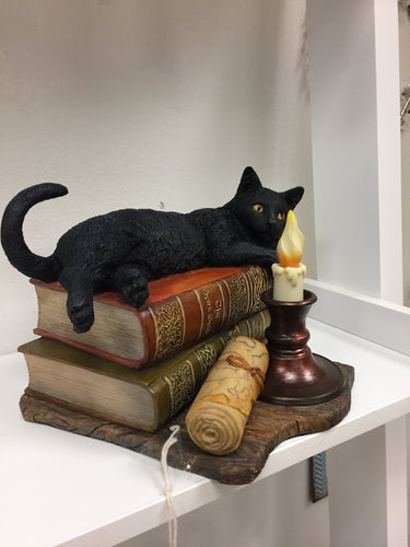 Black Cat On The Book